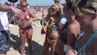Palpitating amateurs in sexy bikini getting drunk at a beach party outdoor