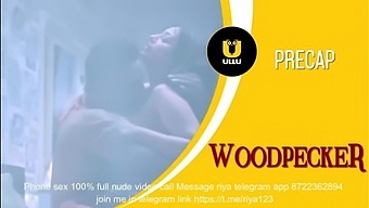 Woodpecker Hindi S01 Complete Hot Web Series